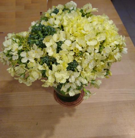 Photo of yellow flowers sprouting out of the top of a cluster of green baby broccoli set into a vase of water. The background is a butcher block table the vase is sitting on.