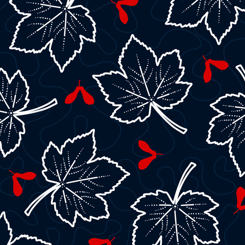 Leaves of Acer pseudoplatanus in white and the fruits are drawn in bright red. The background is a dark blue.