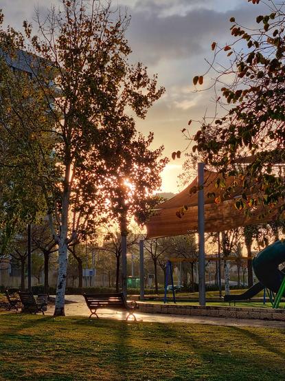 Early morning sunlight shining through a playground