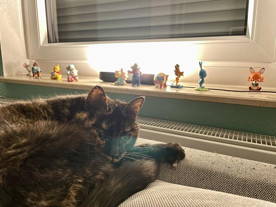 Photo of one of our cats Tapsi relaxing on the Sofa. At the back there is a Philips hue light and multiple Toni figures.