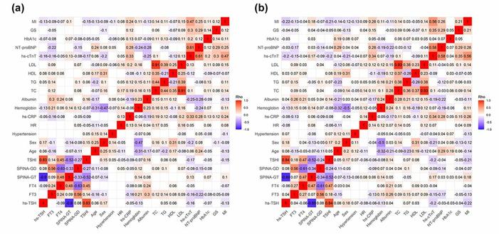 Spearman correlation analyses: (a) Spearman correlation analyses in CAD patients with diabetes mellitus, (b) Spearman correlation analyses in CAD patients without diabetes mellitus. The Spearman correlation coefficients between variables of x-axis and variables of y-axis are listed in the corresponding cell. Red cell color means positive correlation, and blue color means negative correlation. The color brightness of the cell stands for the degree of the correlation, and blank cell represents no statistically significant correlation.
CAD, coronary artery disease; eGFR, estimated glomerular filtration rate; FT3, free triiodothyronine; FT4, free tetraiodothyronine; GS, Gensini score; HbA1C, glycosylated hemoglobin A1C; HDL, high-density lipoprotein; HR, heart rate; hs-CRP, hypersensitive C-reactive protein; hs-cTnT, high-sensitivity cardiac troponin T; hs-TSH, hypersensitive thyroid-stimulating hormone; LDL, low-density lipoprotein; MI, myocardial infarction; NT-proBNP, N-terminal prohormone B-type natriuretic peptide