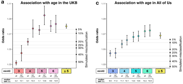 Figure 3. Association of CHIP variants defined by minimum allele depth (minAD) strata with age and TERT promoter variant rs7705526. Panels show the associations for strata of CHIP variants defined by minAD 3, 4, 5, and 6 with age (A,C) and the rs7705526 TERT promoter variant (B,D) in UK Biobank and All of Us Cohorts. The right axis plots the results of a simulation experiment wherein the specified proportion of samples in the minAD ≥ 5 CHIP dataset was randomly exchanged for individuals without CHIP in the dataset to estimate misclassification. Each simulation was run 20 times and the average result is shown.