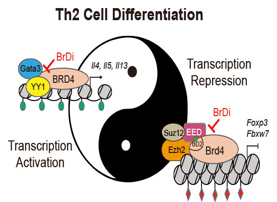 Schematic visualization of the article's synopsis