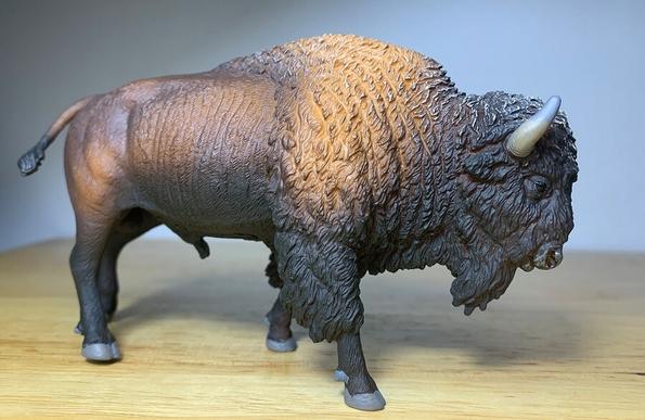 American bison toy by CollectA.