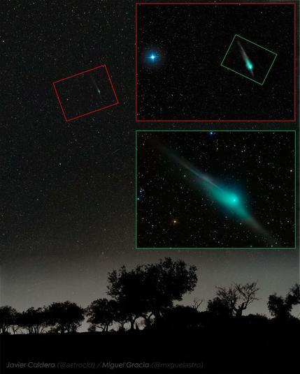 Comet ZTF is shown high above and far beyond a row of silhouetted trees. The top inset image shows how the comet looked through binoculars, while the lower inset image shows how the comet looked, last week, thought a small telescope. The lower inset image clearly shows the comets coma, dust tail, ion tail, and a noticeable antitail.