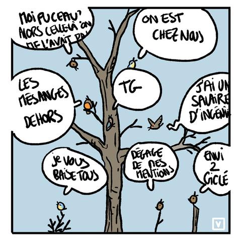 Dernière case.
On voit un arbre dans sa tenue d'hiver (sans feuilles, quoi) où s'ébattent des passereaux des jardins. Leurs chants sont traduits pour votre édification :
Troglodyte mignon : MOI PUCEAU ? ALORS CELLE LA ON ME L'AVAIT PA(suite indisponible)
Mésange bleue : ON EST CHEZ NOUS
Rouge-gorge : LES MESANGES DEHORS
Sittelle : TG
Autre mésange bleue : JE VOUS BAISE TOUS
Pinson : J'AI UN SALAIRE D'INGENIEUR
Oiseau marron non identifié, on n'a qu'à dire un accenteur mouchet : DEGAGE DE MES MENTIONS
Encore un petit oiseau marron, disons un grimpereau : ENVI 2 GICLé


Comme on peut le voir, les oiseaux ne sont d'aucun réconfort, ils sont vulgaires et agressifs.
Méchants oiseaux.
