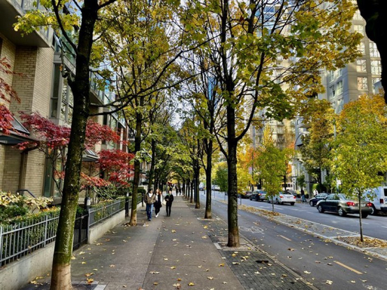 Street in Yaletown neighbourhood, Vancouver, with wide sidewalks, separated bike lanes, 2 lanes for car movement, 1 parking lane, and 4 rows of street trees.