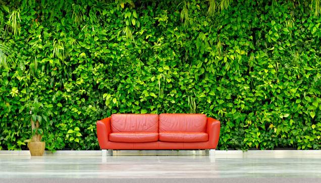 Rote Couch vor grünen Pflanzen