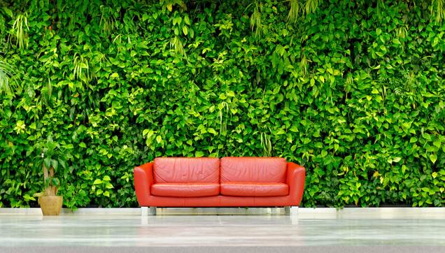 Rote Couch vor grünen Pflanzen