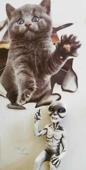 Cat bursting out wall sticker decal & a sitting alien with hand peace sign figurine.