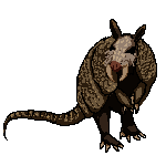 Sabertooth armadillo standing on its back legs. Brown tint