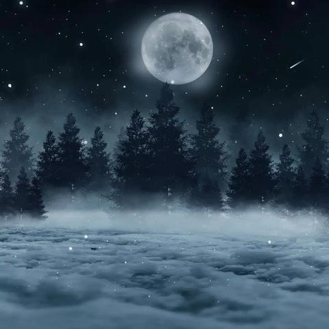 A picture of a forest of trees in the falling snow with a full moon lit up in the night sky.