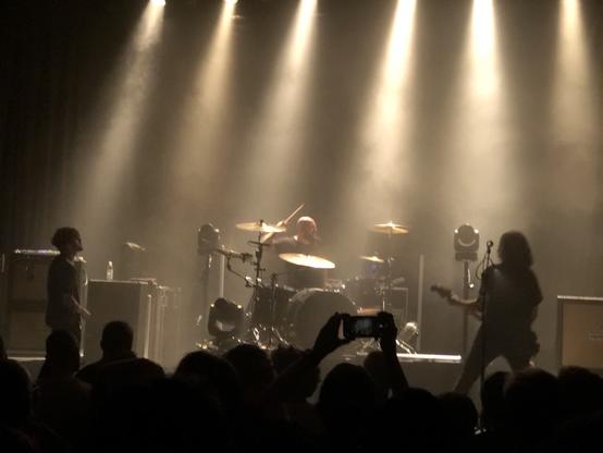 Fjørt live