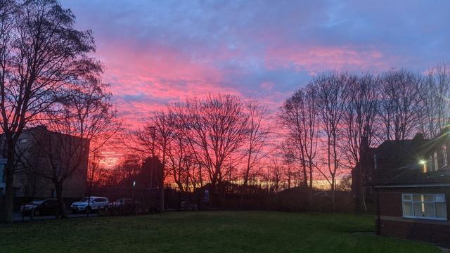 Red and pink sky at sunset Sunday evening, stunning mother nature , with  some bare trees situated against the colourful sky