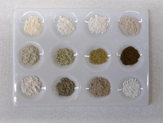 Photography of the twelve natural clays used in the publication. The clays are in powder form on a ceramic plate and show different colours (e.g. white, grey, brown, ...). Photo: Leonard Böhm