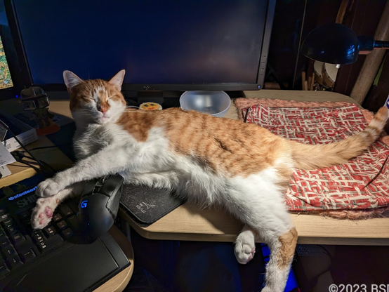 An orange and white tabby cat spread across his owner's mousepad, mouse, and keyboard. His face is turned towards the bright light of an out-of-frame desk lamp, his eyes shut tight. His demeanor seems to say, "No internet for you until I get pets! And, while you're at it, would you kindly dim that light‽"
©2023, Sharon DW Boudreaux (#BSDWB)