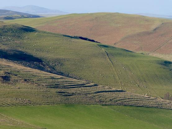 Three ridges, top left to bottom right. Furthest is red with bracken, nearest has many parallel ridges, contouring the slopes. They show up well in Winter sunlight