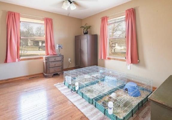 Bedroom in a house listed for sale; staged with no bed. A dresser, a night stand, and 3 large pet crates with water bottles. Presumably for rabbits or guinea pigs- who wants this room?
