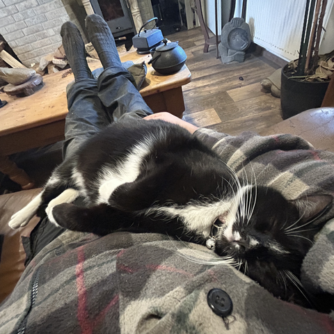 The cat is now resting his body and lying fully stretched on my lap and torso; his head against and on my right arm. He is asleep; my arm may follow soon.