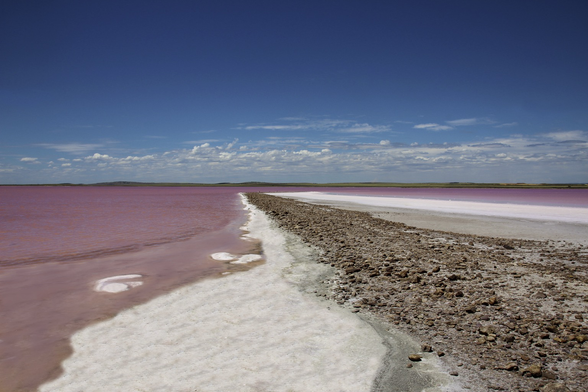 An island of white sand and rocks juts out from the foreground, surrounded by an other-worldly pink lake. The sky overhead is a deep blue with a few clouds.
