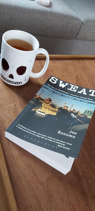 Sweat, the story of The Fleshtones, América's garage band; by Joe Bonomo, from continuum books. 2007.