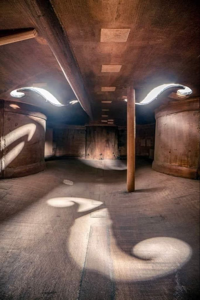 Inside of a cello