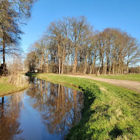Reflection of trees in the water. Background blue sky