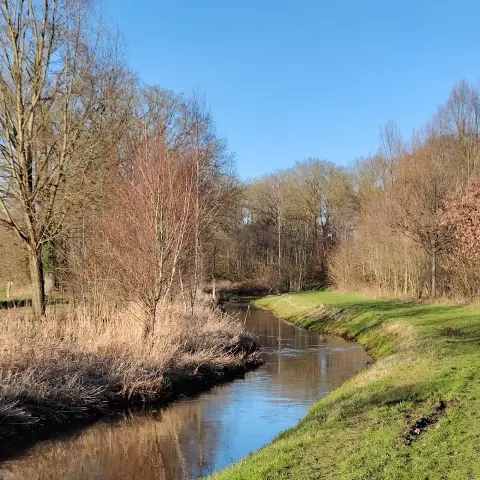 green grass on the right, a stream in the middle, surrounded by trees and in the back blue sky