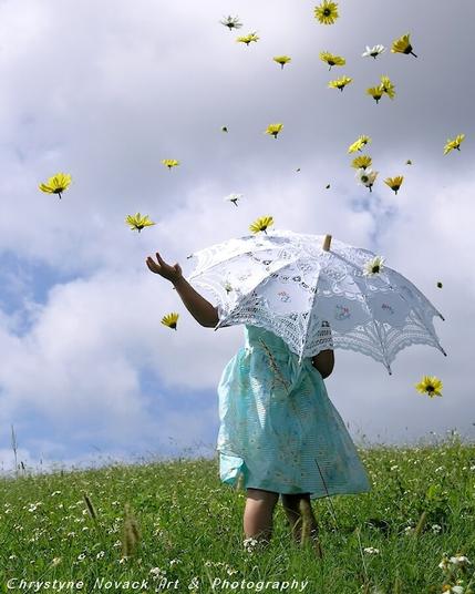 Standing in a field of flowers, a little girl holding a lacy umbrella stands holds out her hand to test for rain. Daisies of yellow and white fall from sky.