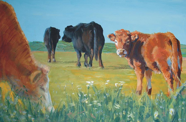 cattle in the sunshine painting