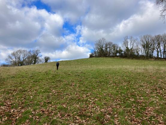 A photo of a steep hilly field. An unmarked footpath makes a beeline for the summit, the small figure of a hiker partway up. A clump of trees mark the top field boundary. The sky is blue, with a few white fluffy clouds.