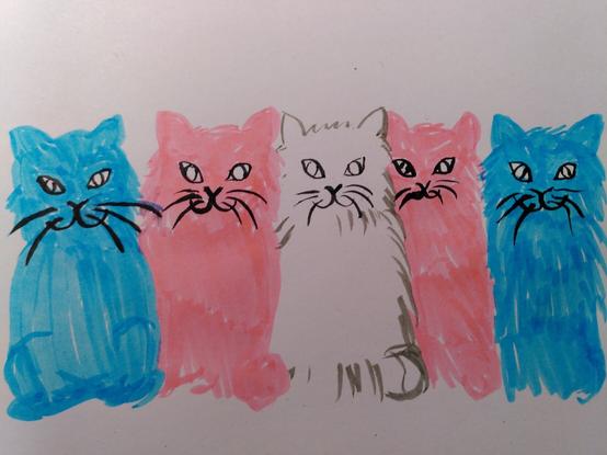 Five cats sitting next to each other in a row in trans flag colors: light blue, pink, white, pink, light blue