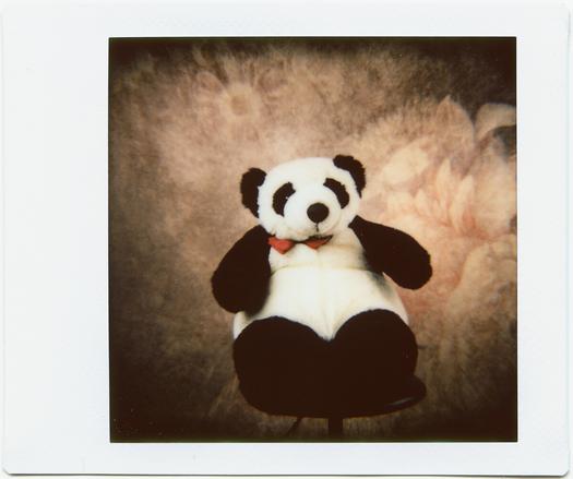 Instax photo of Andrew, the stuffed panda, on a posing stool.