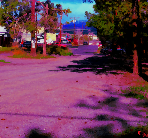 Dirt Road
by Carl J Shoemaker