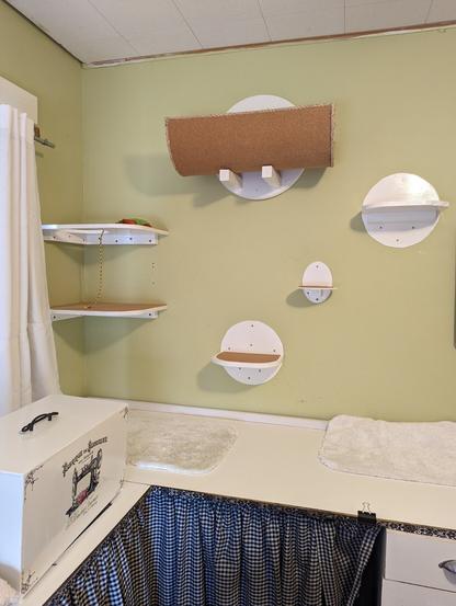 A cat wall located in a sewing room.