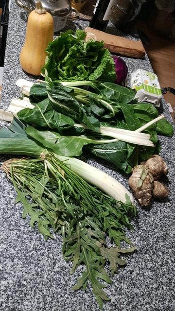 Cesta de la semana con calabaza, col china, lombarda, acelgas, puerro, rúcula y nabos.