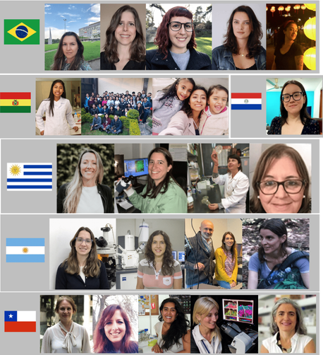 Image showing the women scientists interviewed by Mariana De Niz on her blog series on Latin American Microscopists on FocalPlane. Images of the women appear next to the flag of their country.