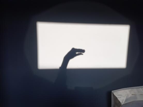 Light from the sun casts a large rectangular area on the wall. The shadow of an arm and hand is cast on to the lit up area on the wall. The hand is clasped so it looks like the head and mouth of an animal.