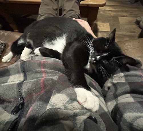 I'm on the couch and the cat is stretched out over a food part of my body. His right back paw is on the couch cushion to my left, his bum is on my lap but the rest of him is on my torso, his head in the crook of my right arm, immobilising it, and his left front paw almost touching the pocket of my vest - and yes, the front os the vest is specked with bits of flour & dough. I ALWAYS forget to put on my apron.