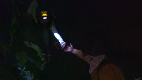 Two people's hands reach towards one another at night in Beyond Utopia