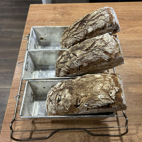 Closeup of three medium sized rye breads, just out of the oven. The three tins are resting on a cooling rack and the breads have been lifted and rest against one of the short sides of the tins but are still in the tins. If you would just leave them cooling off in the tins the parts inside would get damp.