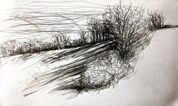 Low February sunshine casting long shadows on the slope of a field.