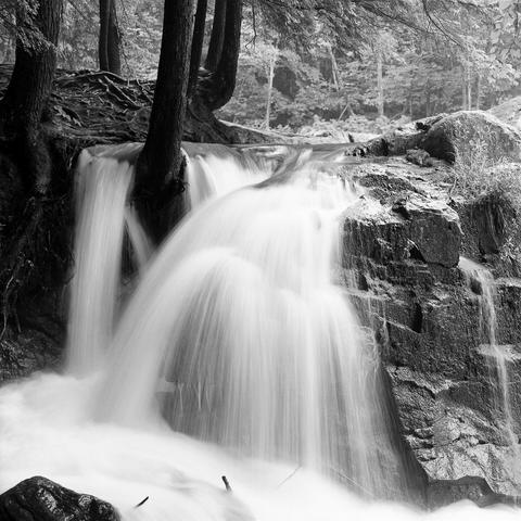 Black and white image of a small waterfall cascading over a rock ledge. Trees grow at the top left of the ledge.