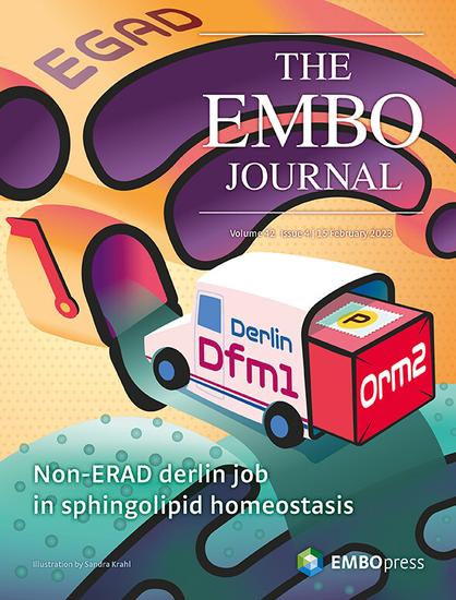 EMBO Journal 4/23 cover features a cartoon depiction of yeast Derlin Dfm1 as a parcel service van, delivering an "Orm2"-labelled package to a household postal box that form part of a Golgi vesicle stack.