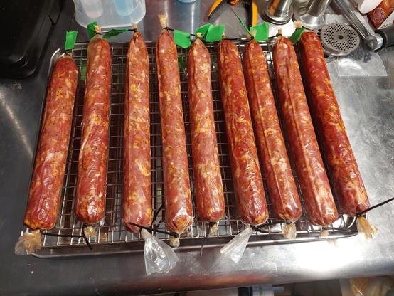 Nine chubs of pepperoni with a nice red color sitting on a wire rack on a baking tray.