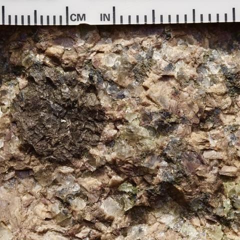 A macro photograph shows a centimeter scale phenocryst of a dark mineral, probably an amphibole, in a ground massof quartz and feldspar.