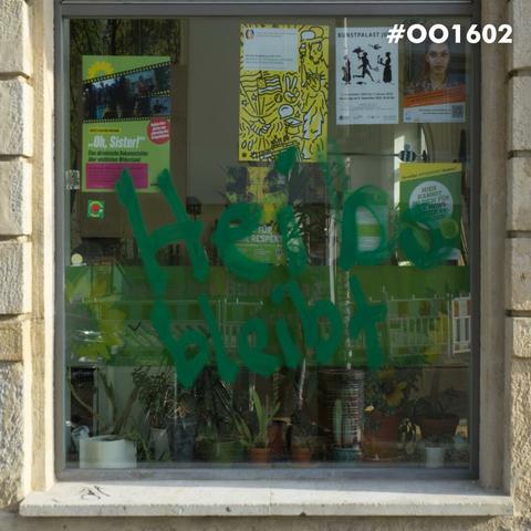 man erkennt dein Close-Up von einem Grünen-Büro Schaufenster auf welches Heibo Bleibt gemalt wurde.