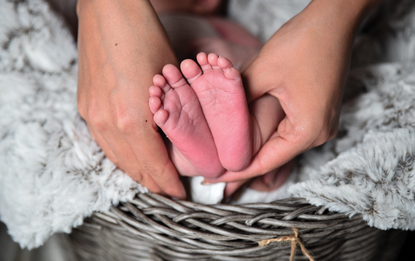 photo of an infant in a basket with an adult's hands holding the babies feet