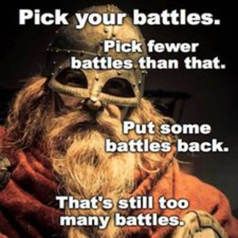 A viking, bearded and helmeted is pictured with the caption "Pick your battles. Pick fewer battles than that. Put some battles back. That's still too many battles" as if giving advice to someone shopping for battles.