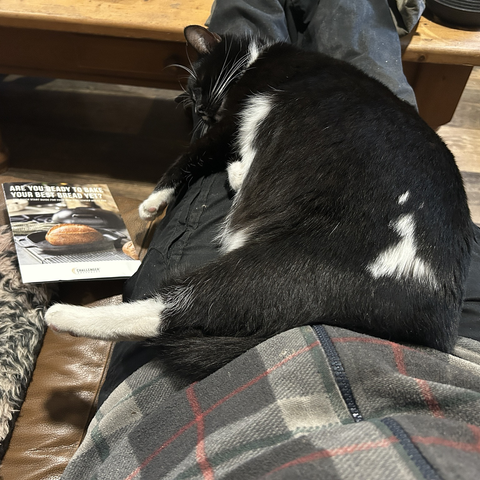 The cat is on my lap, in a state somewhere between a snooze and a coma. To our left, also on the couch, is the instruction leaflet for my new cast-iron oven bread pan.